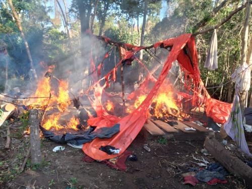 Sacaron de circulación 18 toneladas de marihuana a traficantes que operan en reservas naturales